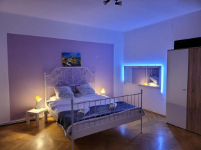 Vintage Apartment Old Center Braşov
